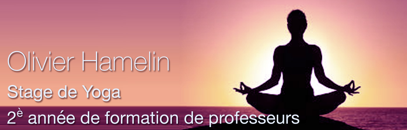 STAGE DE YOGA 2ème année de formation de professeurs Olivier Hamelin