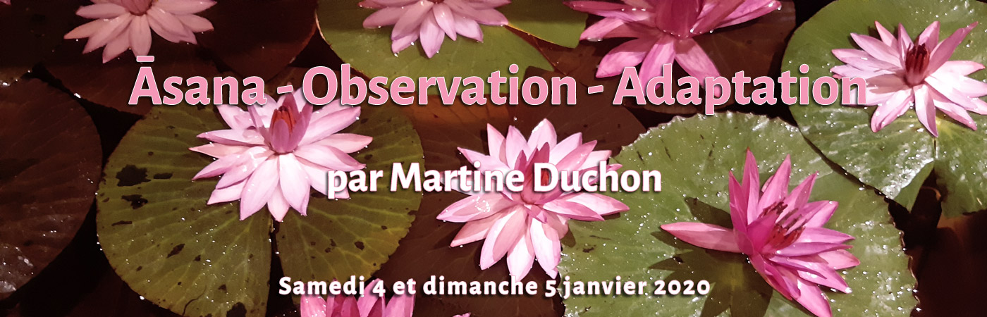 Formation de yoga, Āsana - Observation et Adaptation par Martine Duchon