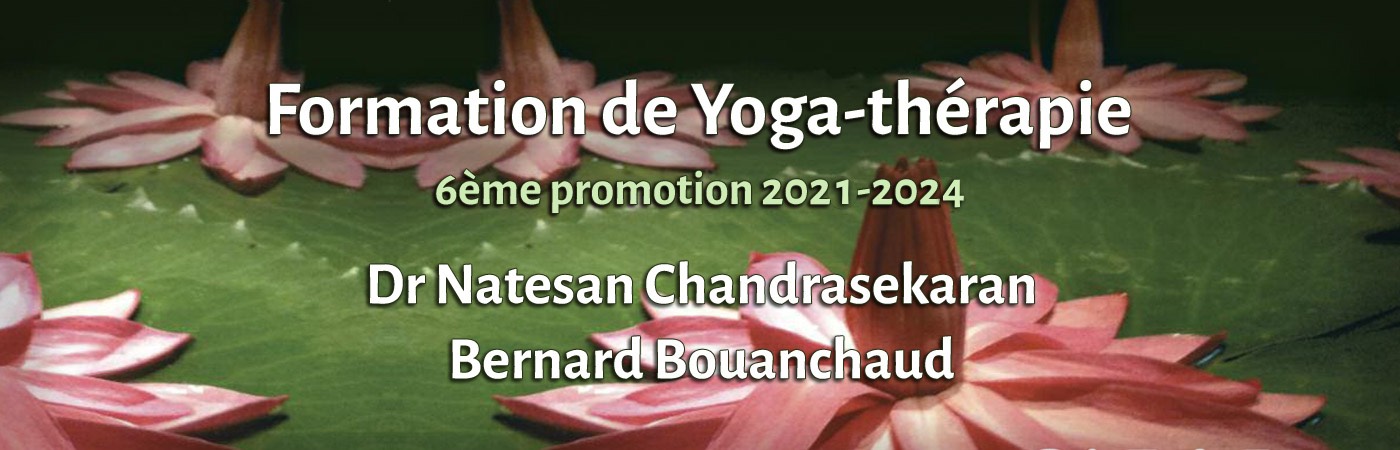 Formation de Yoga-thérapie sixième promotion 2020-2023 Dr Natesan CHANDRASEKARAN Bernard BOUANCHAUD