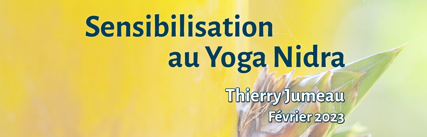 sensibilisation au yoga nidra thierry jumeau