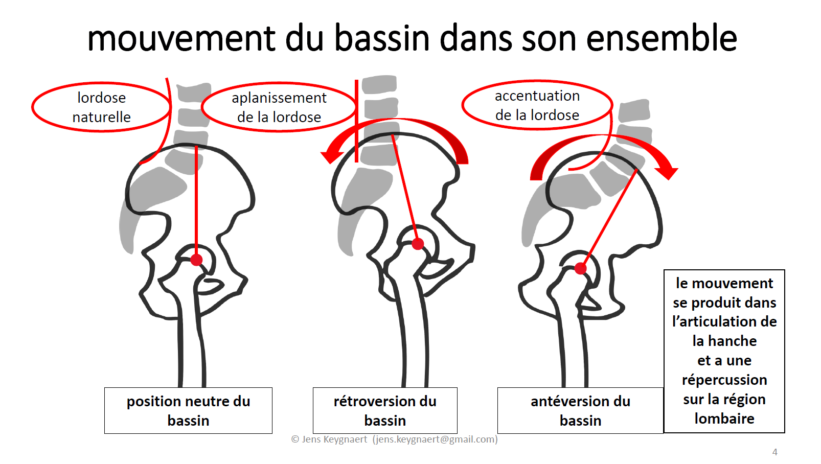 L’articulation sacro-iliaque : carrefour entre ciel et terre