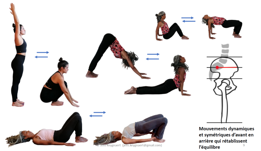 sacro-iliaque-mouvements